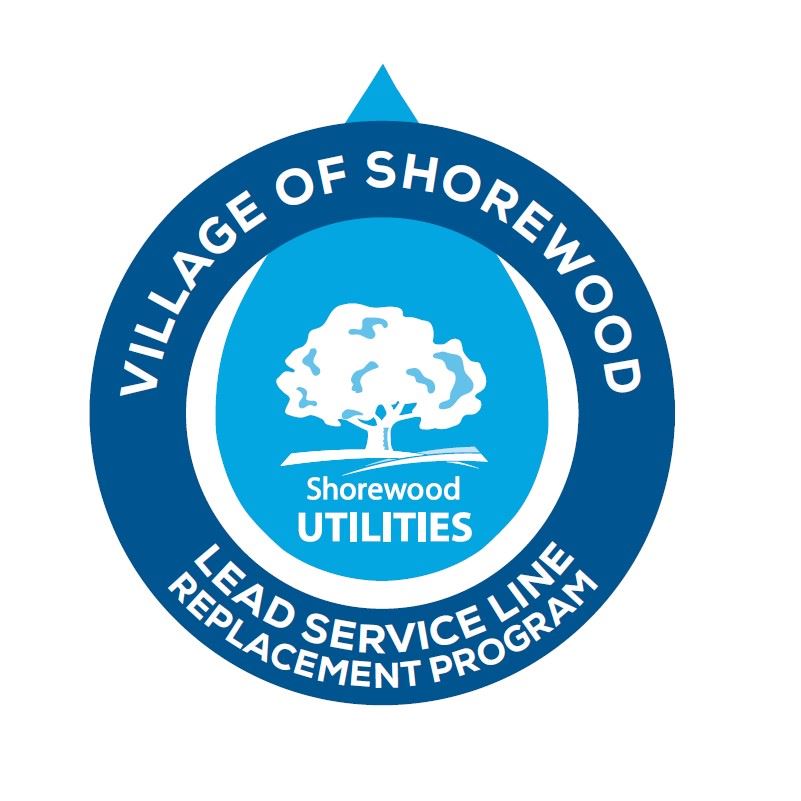 LSLR logo round color