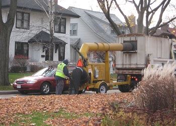 Leaf vacuums_newsflash