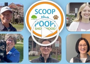scoopthepoopvideo