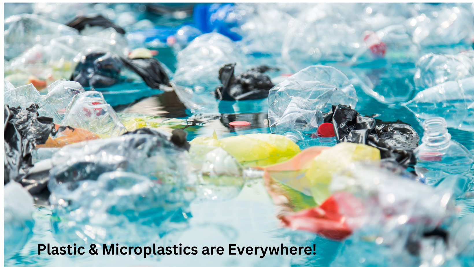 Plastic and Microplastics are Everywhere!