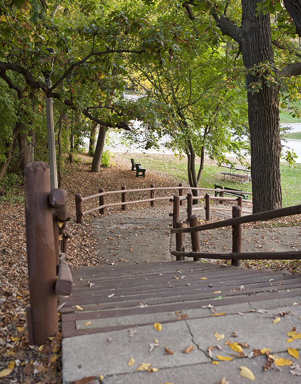 Set of Stairs Looking Down at a Park Bench
