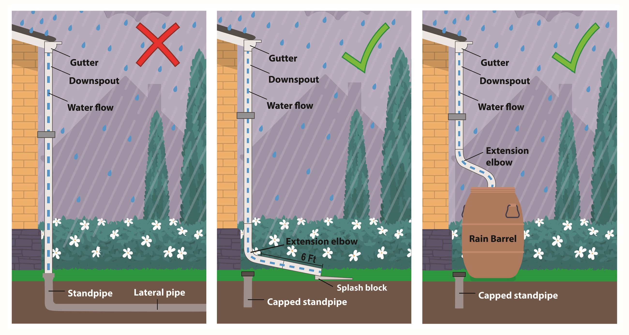 DisconnecttoProtectTrypticFinal