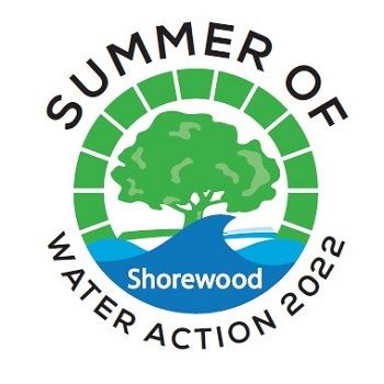 summer of water action